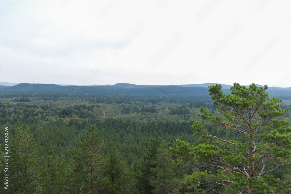 Fototapeta premium Borovoe, Burabay, spruce, mountains