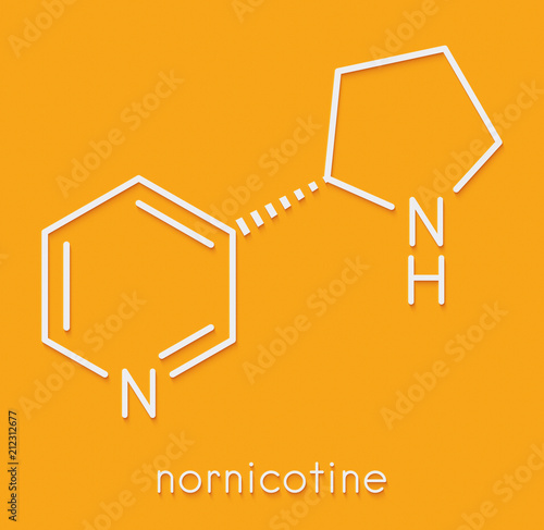 Nornicotine alkaloid molecule. Related to nicotine and also found in Nicotiana plants. Skeletal formula. photo