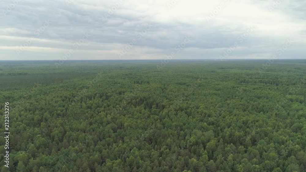 Aerial view green forest, treetops, forest area. Pine, spruce forest from above. Flight over mixed forest on a sunny summer day Aerial view green forest, treetops, forest area. Pine, spruce forest from above. Flight over mixed forest on a sunny summer day
