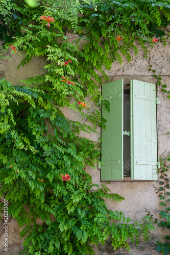 Pastel green window shutter in Ansouis, Provence, France
