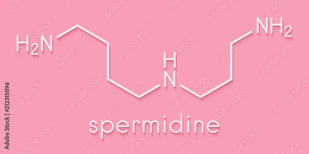 Spermidine molecule. Skeletal formula. Spermidine molecule. Skeletal formula.