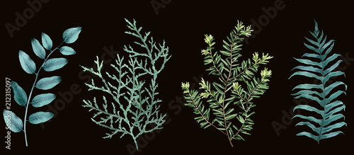 Wallpaper Mural Elegant tropical leaves Torontodigital.ca