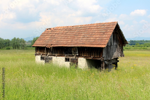 Dilapidated abandoned old wooden barn with brick foundation made of old wooden boards and broken roof tiles surrounded with tall green grass and flowers with cloudy blue sky in background