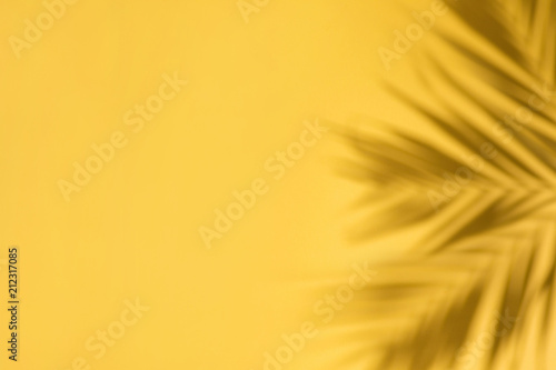Yellow abstract background with shadows of palm leaves