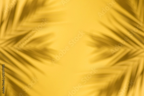 Top view of green tropical leave Monstera on blue and yellow background. Flat...