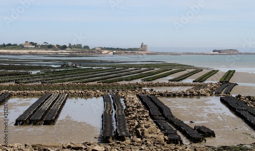 parcs à huîtres à Saint-Vaast-la-Hougue devant l'île de Tatihou,Normandie,Cotentin,Manche