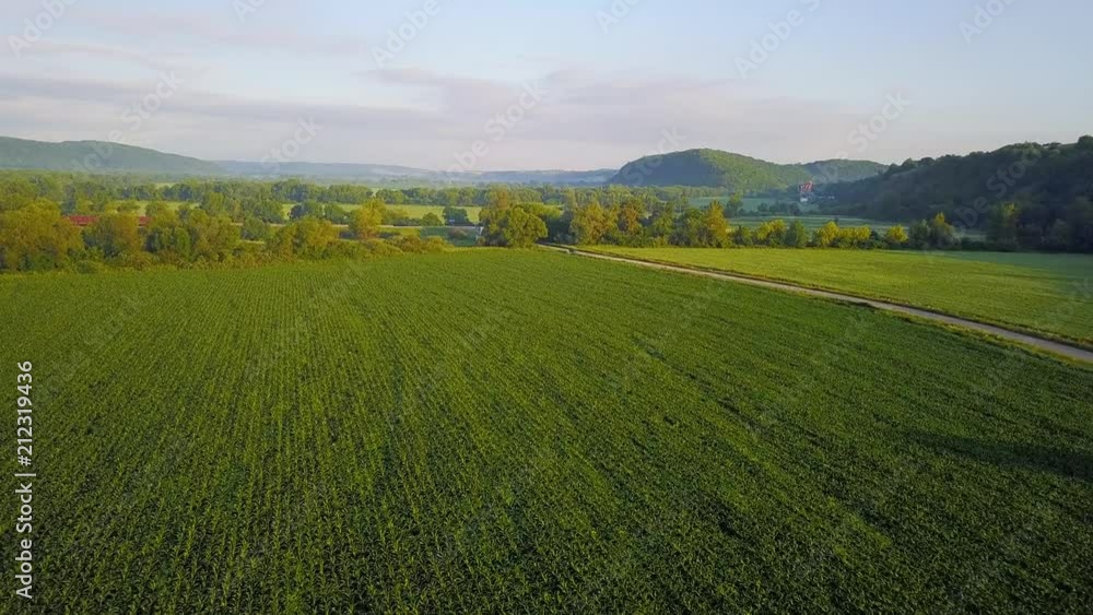 Aerial view at the field. Agricultural landscape at the summer time Aerial view at the field. Agricultural landscape at the summer time