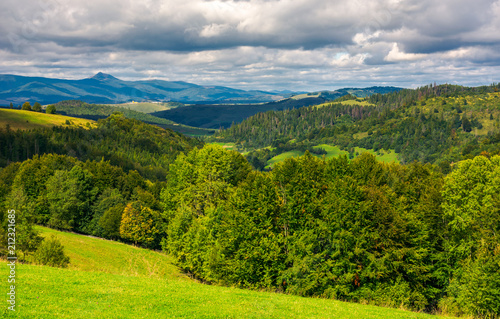 forested hills of Carpathian mountains. wonderful landscape in early autumn on a cloudy day. Pikui mountain in the far distance.