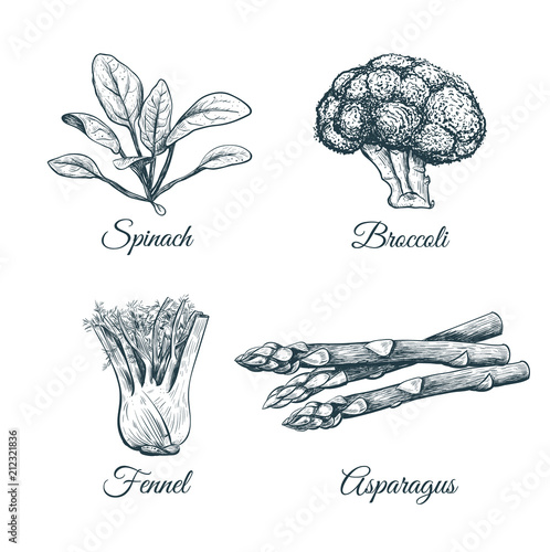 Set plants and vegetables. 
