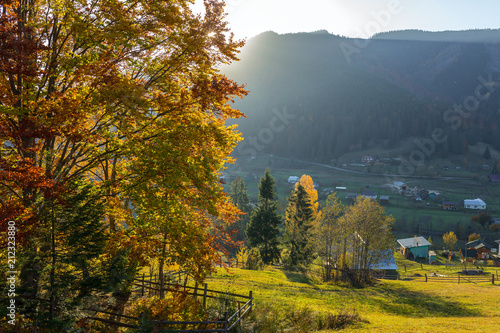 Beautiful colorful morning scene with autumn trees in Carpathian mountains  Ukraine. Red  yellow and green autumn leaves at sunrise light