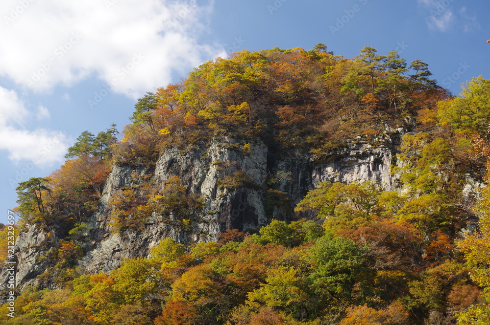 Agatuma Valley autumn leaves