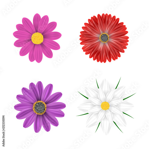 Vector multi-colored flowers on a white background © Stock_ko