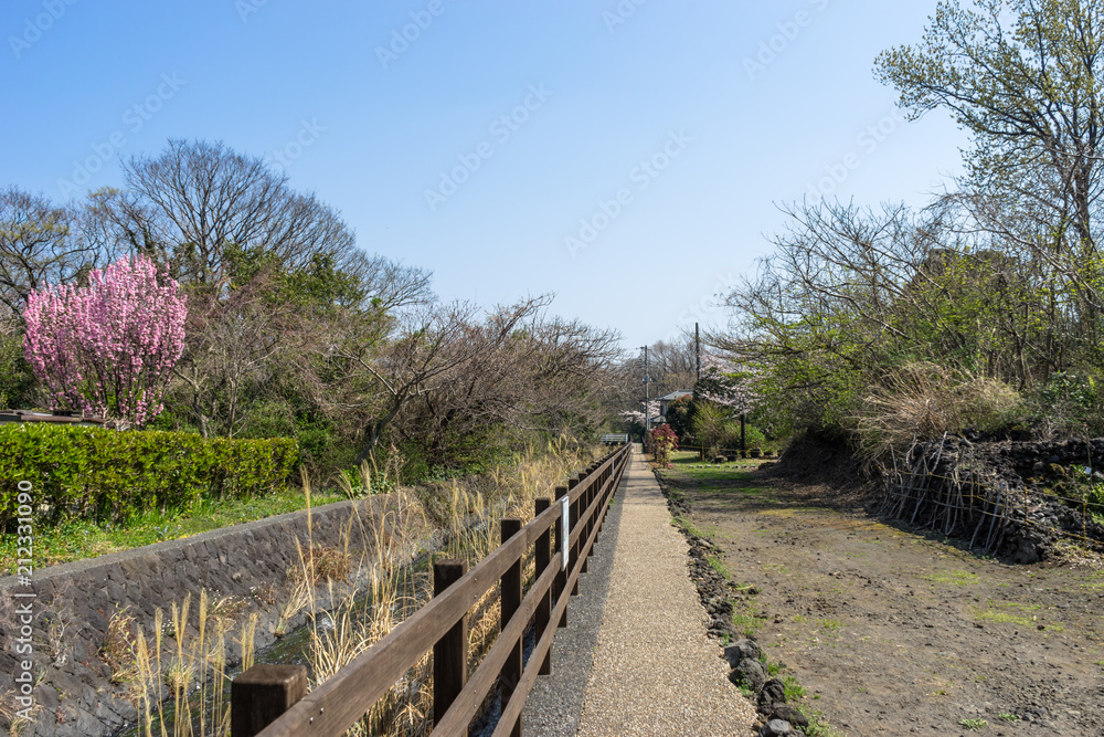 城ケ崎自然研究路へ続く遊歩道