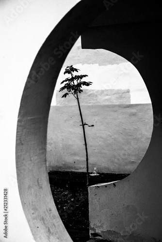  tree, architecture