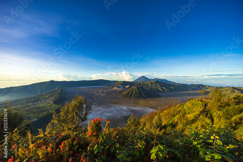 Beautiful view landscape of active volcano crater with smoke at Mt. Bromo, East Java, Indonesia. 