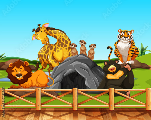 Various animals in a zoo