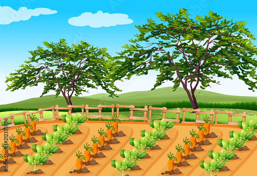 Vegetable Farming in the Rural Area