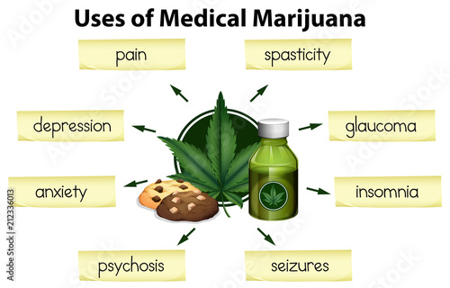 The Uses of Medical Marijuana