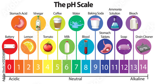 The Science pH Scale