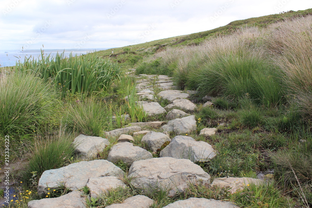 stony path