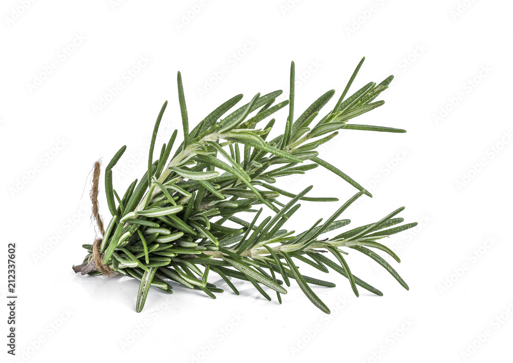Fototapeta premium Rosemary isolated on white background