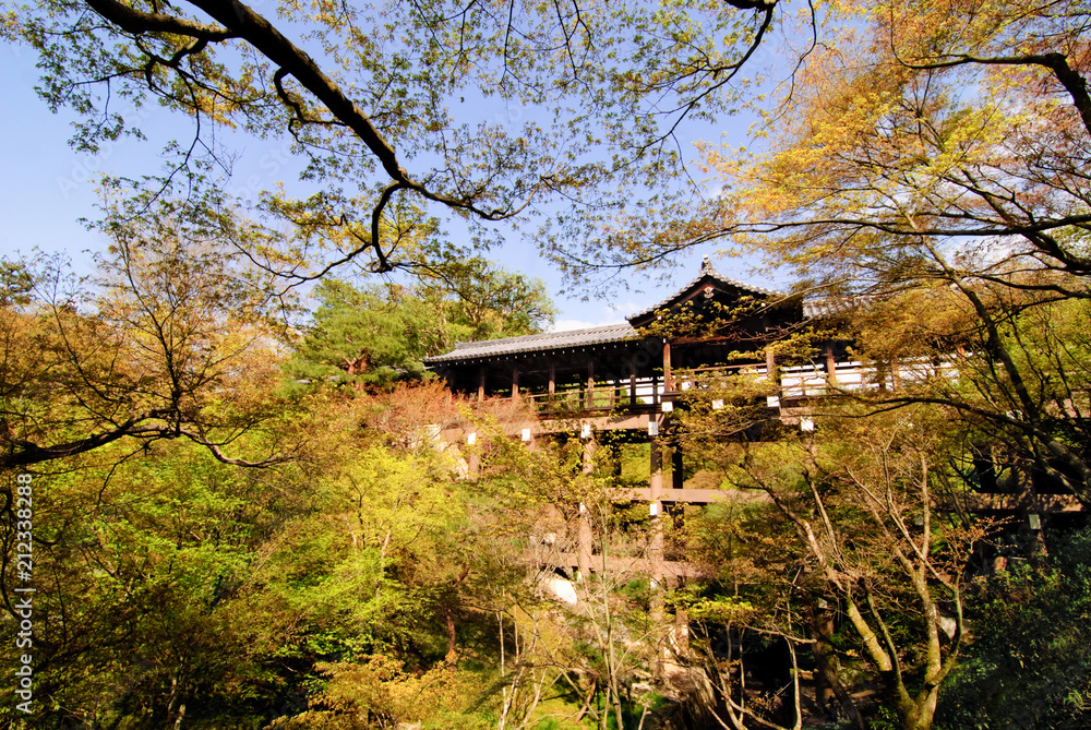 ancient wood bridge inside red leaves forest ancient wood bridge inside red leaves forest