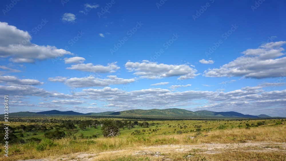 natural green landscape in kenya
