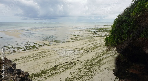 nyali beach in kenya photo