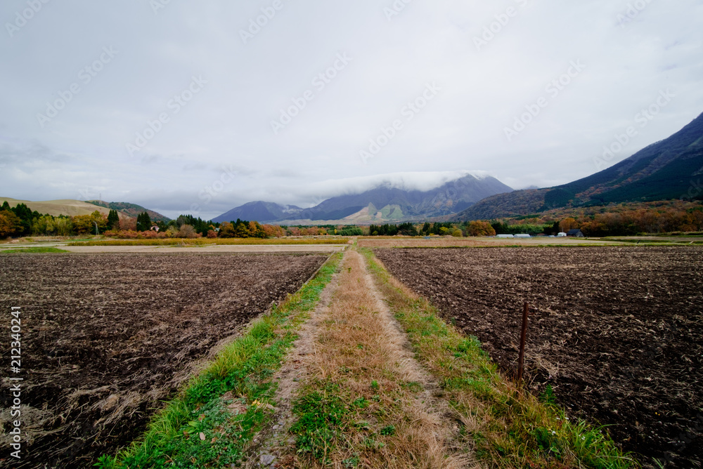 Ranch in japan yufuin, Beppu-shi, Higashiyama in autumn, red leaves season Ranch in japan yufuin, Beppu-shi, Higashiyama in autumn, red leaves season