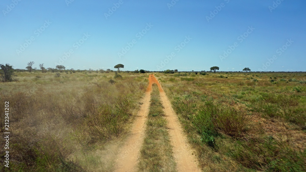 red roads of kenya