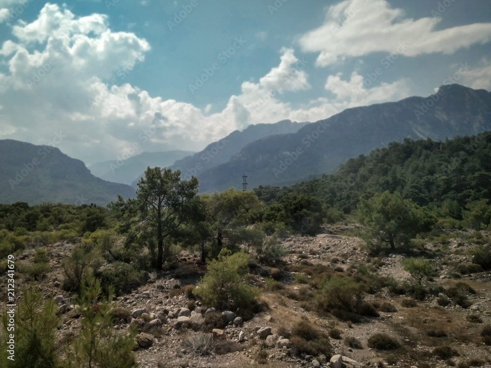 landscape landscape
