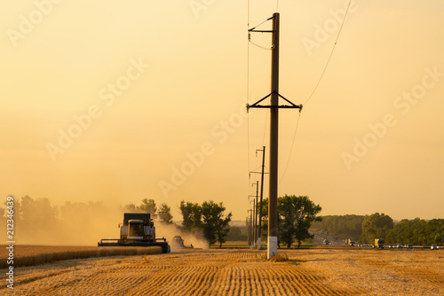 Harvesting of wheat. Combine harvesters at work photo