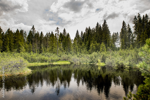 swamp and lake witk sky in Sumava