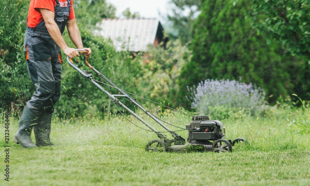Fototapeta premium Man mowing trimming grass