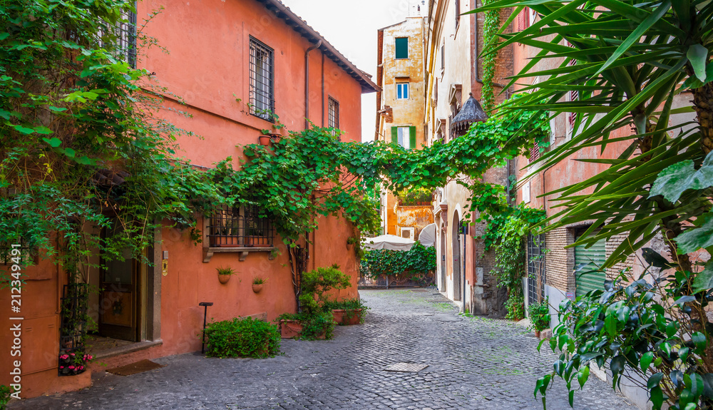 Fototapeta Cozy street with plants in Trastevere, Rome, Europe. Trastevere is a romantic district of Rome, along the Tiber in Rome. Turistic attraction of Rome.