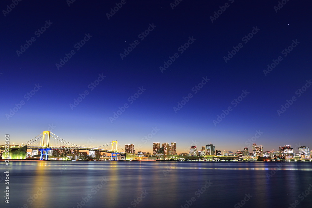 Obraz premium 豊洲からの東京湾の夜景