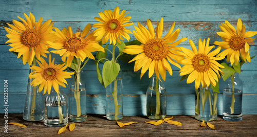 Fototapeta Naklejka Na Ścianę i Meble -  sunflower