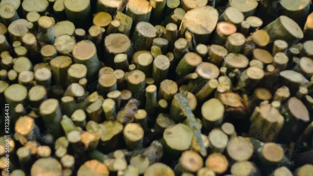The wood is collected for heating at home The wood is collected for heating at home