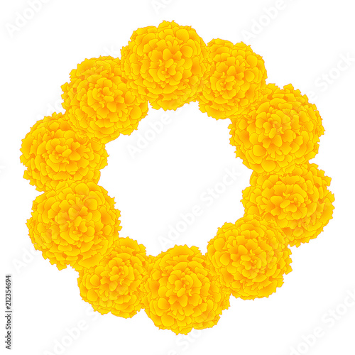 Marigold Flower - Tagetes W...
