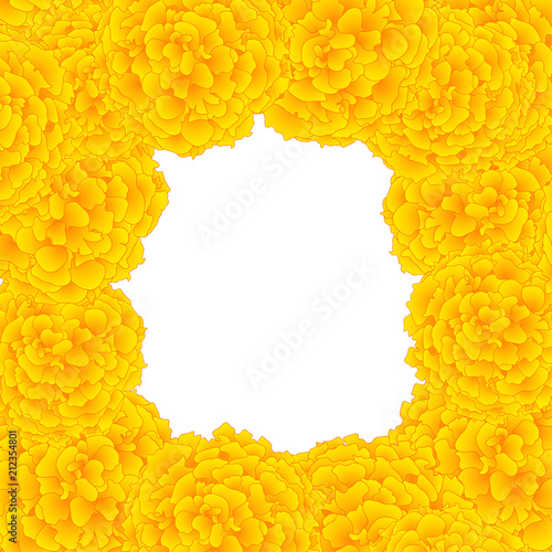 Yellow Marigold Border