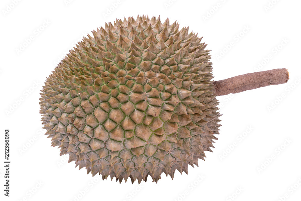 Durian is placed on the white background. Tropical seasonal fruit, king of fruit from Thailand. Durian is placed on the white background. Tropical seasonal fruit, king of fruit from Thailand.