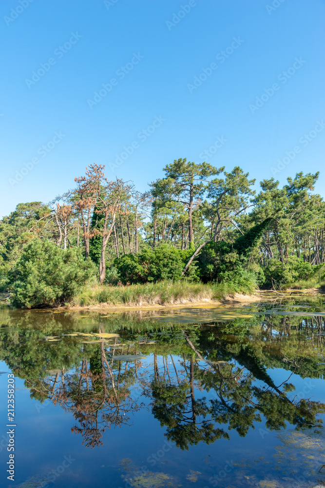 Bassin d'Arcachon (France), les réservoirs de Piraillan Bassin d'Arcachon (France), les réservoirs de Piraillan
