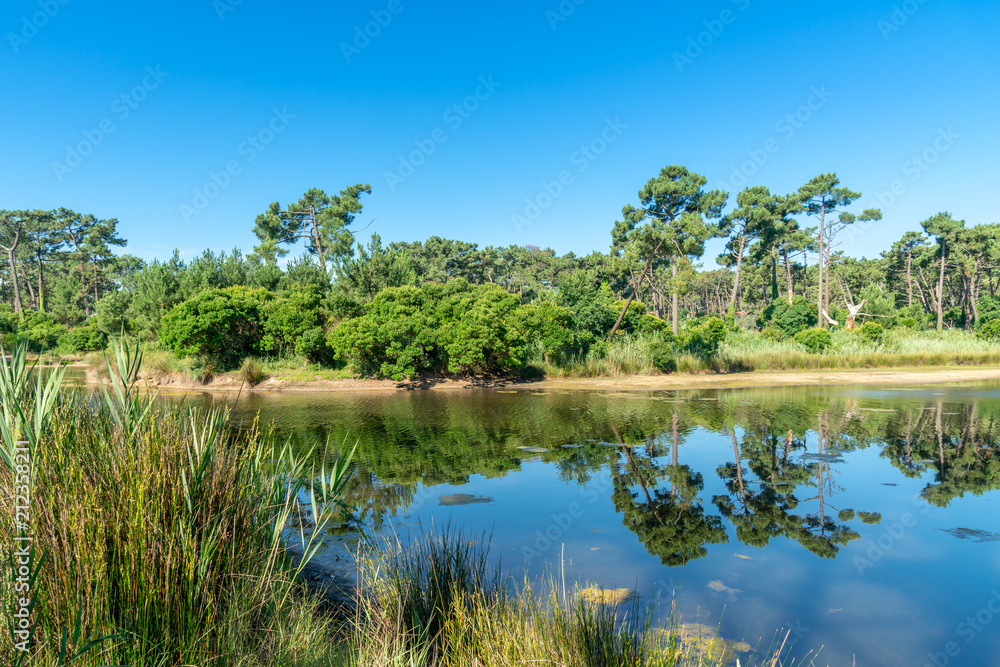 Fototapeta premium Bassin d'Arcachon (France), les réservoirs de Piraillan