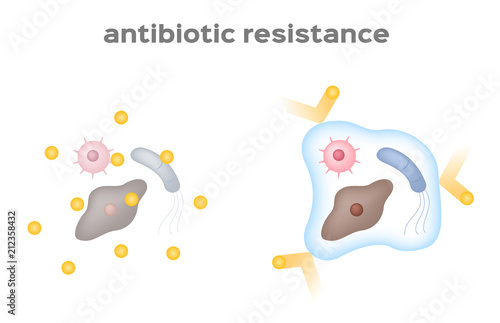 antibiotic resistance bacteria and virus vector