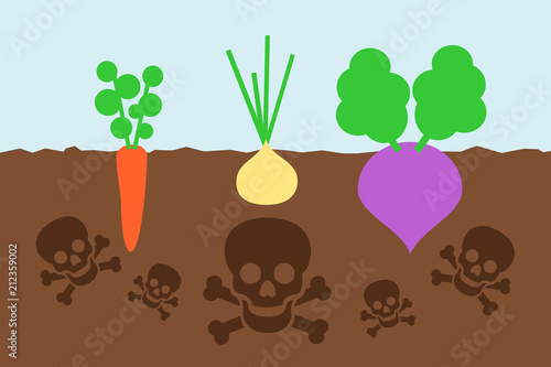 Dangerous cultivation on the polluted field - crop of vegetable is contaminated by poisonous chemicals in the soil. Vector illustration