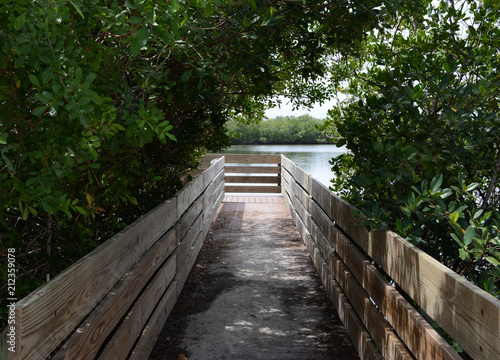 Path to the Water