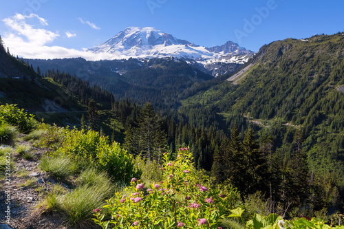 Mount Rainier from Scenic Viewpoint