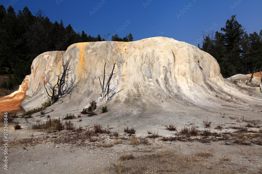 Upper Terrace, Mammoth Hot Springs, Yellowstone NP 