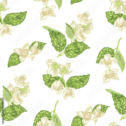 Seamless pattern with jasmine flowers in realistic graphic vector illustration
