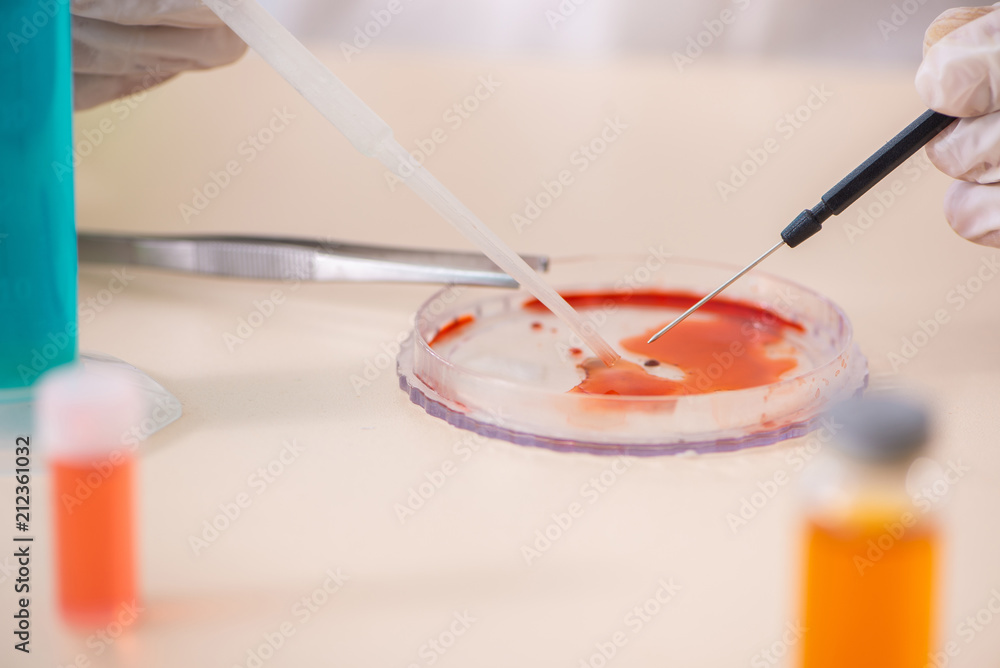Chemist working in the lab on new experiment Chemist working in the lab on new experiment